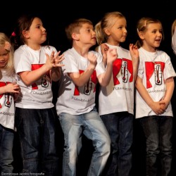 20120608 027 plankenkoorts - Toneelvereniging Plankenkoorts 